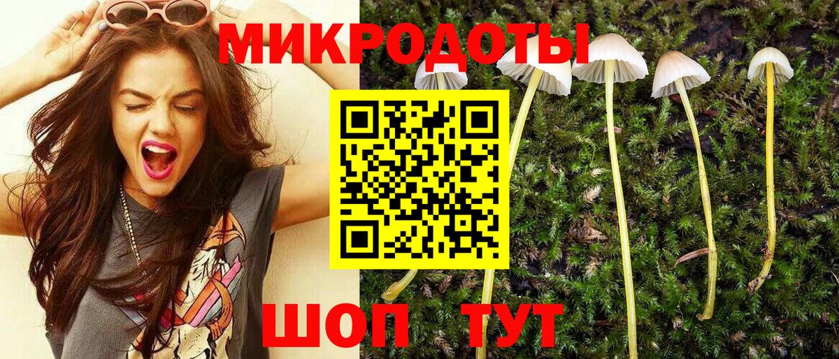 Михайловск  что такое   Вход с VPN  Псилоцибиновые грибы мухоморы 